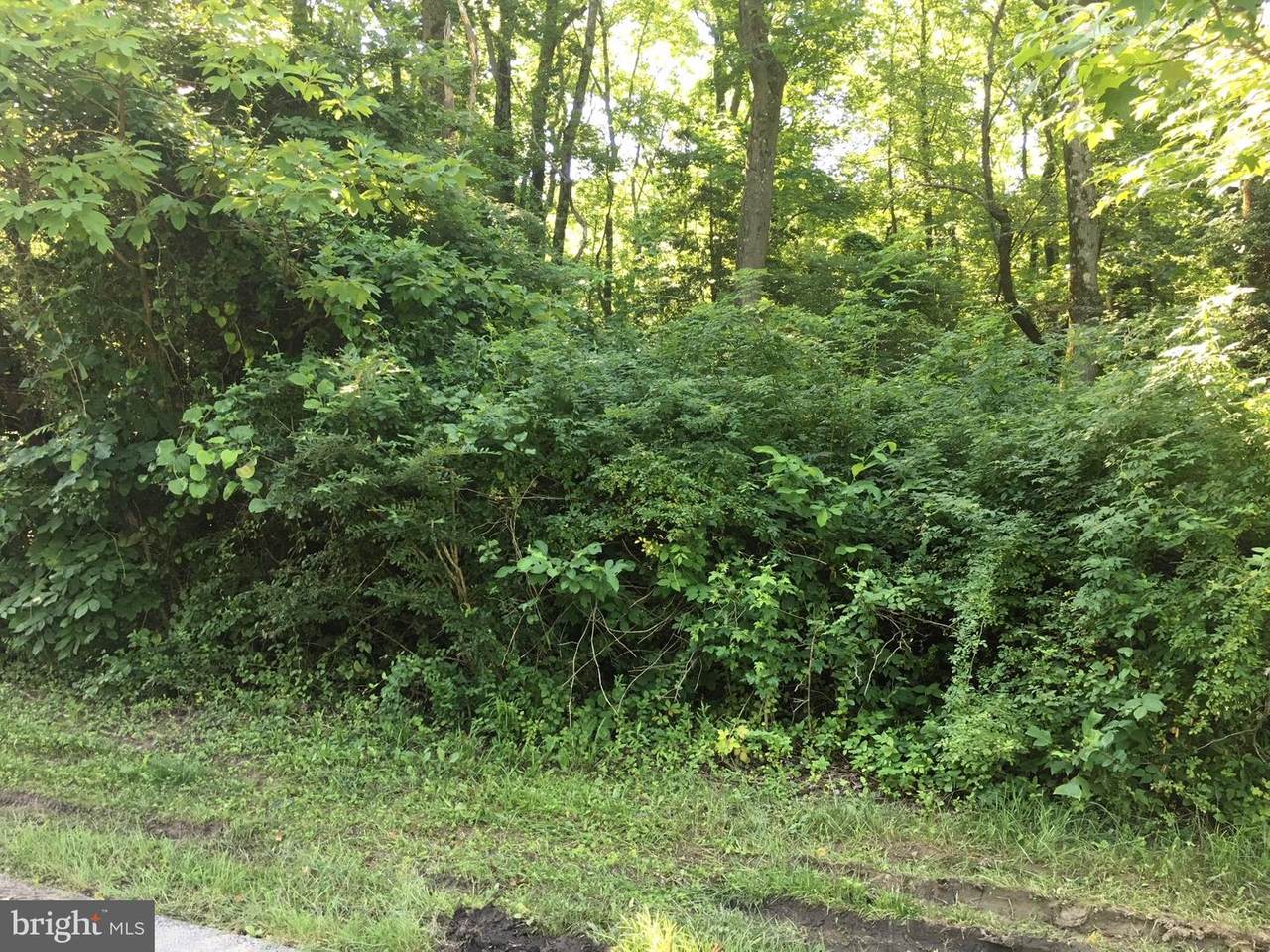 Tickwood Road - Photo 1