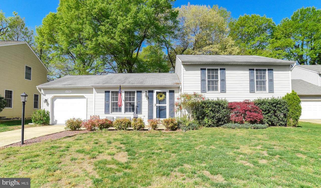 6706 Manatee Court - Photo 1
