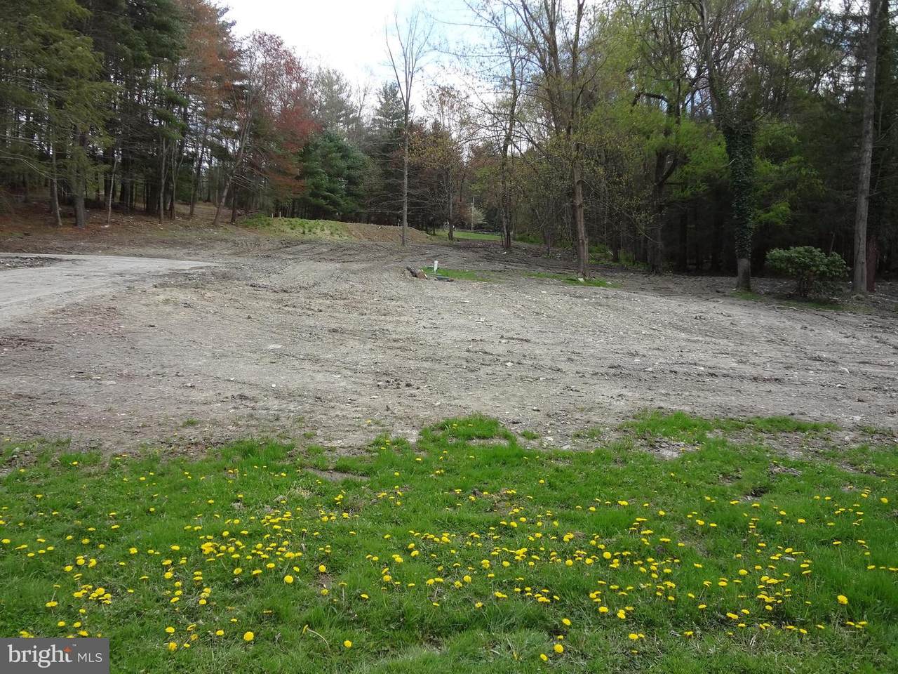 3049 Buchanan Valley Road - Photo 1