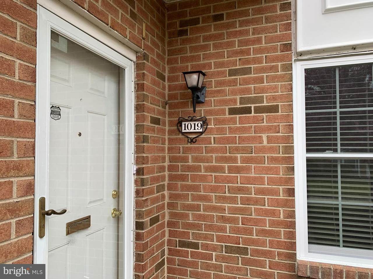 1019 Harbour Drive - Photo 1