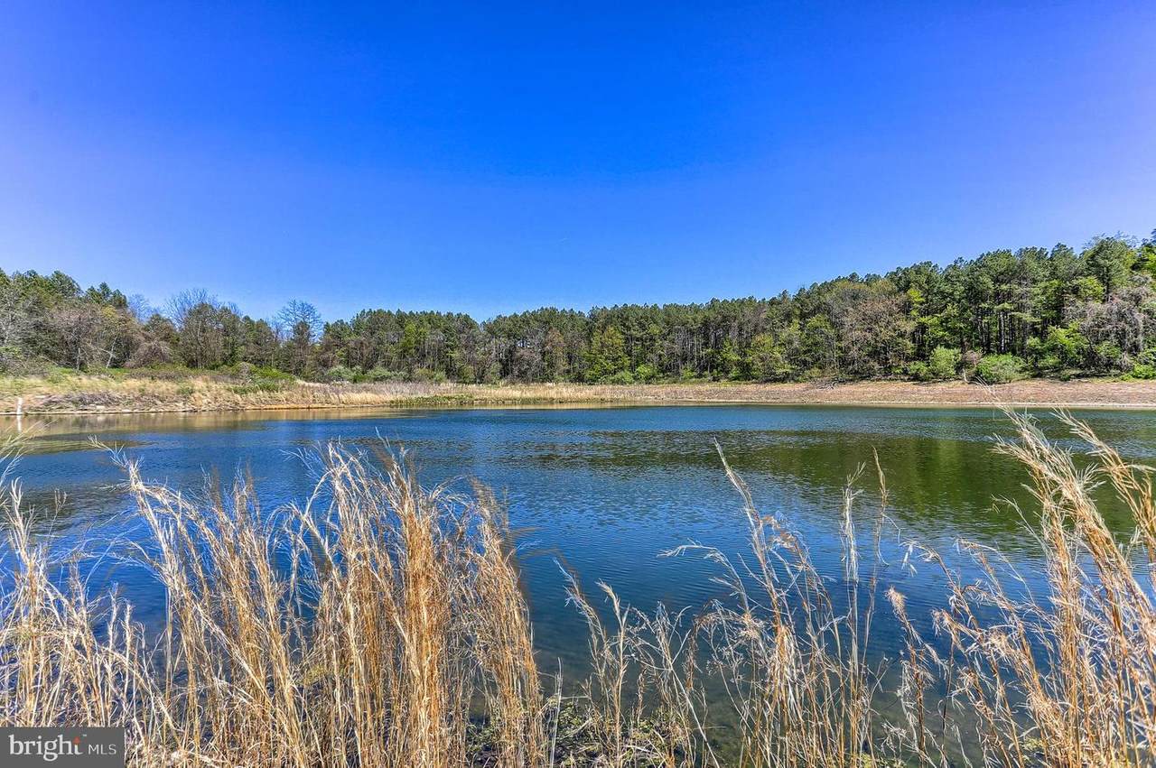 1340 Lake Road - Photo 1