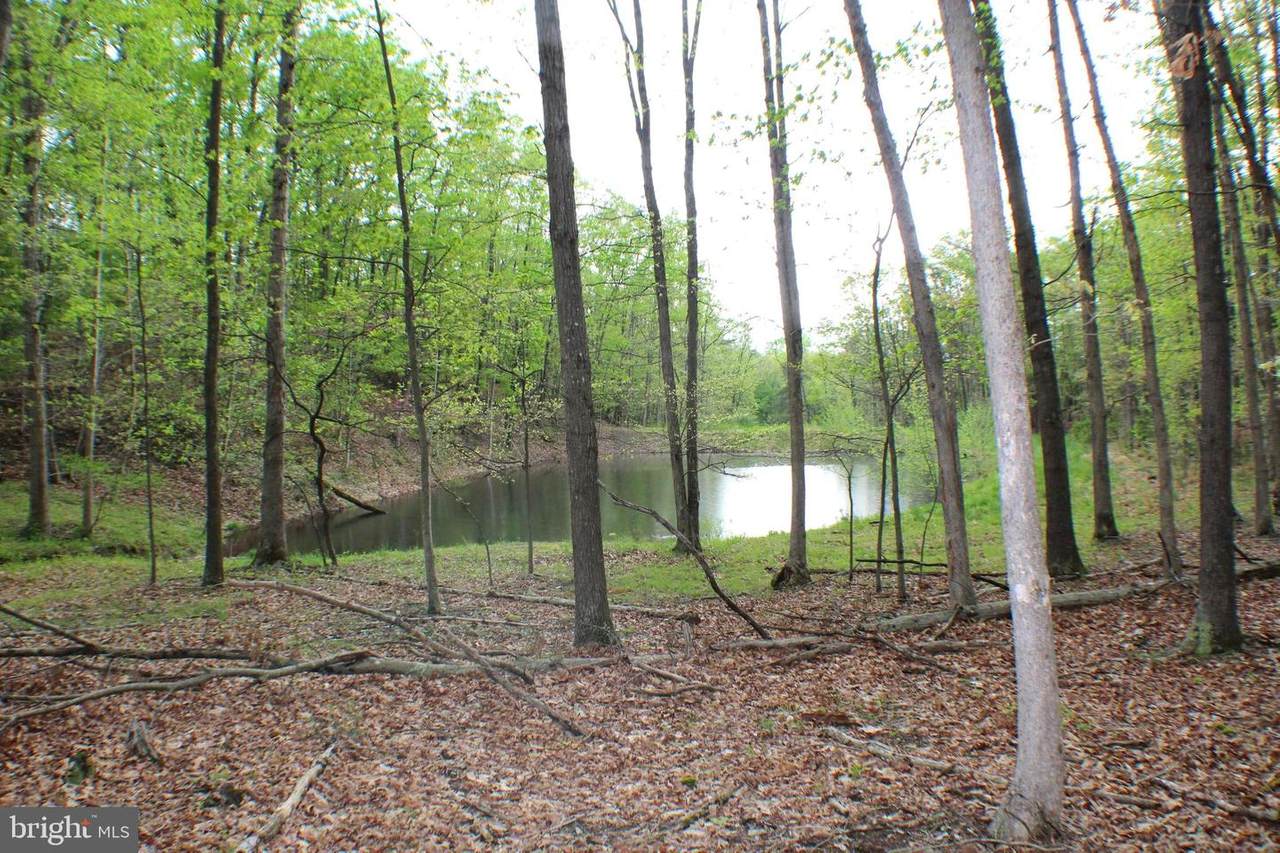 21 +/- Acres Pumpkin Center Road - Photo 1