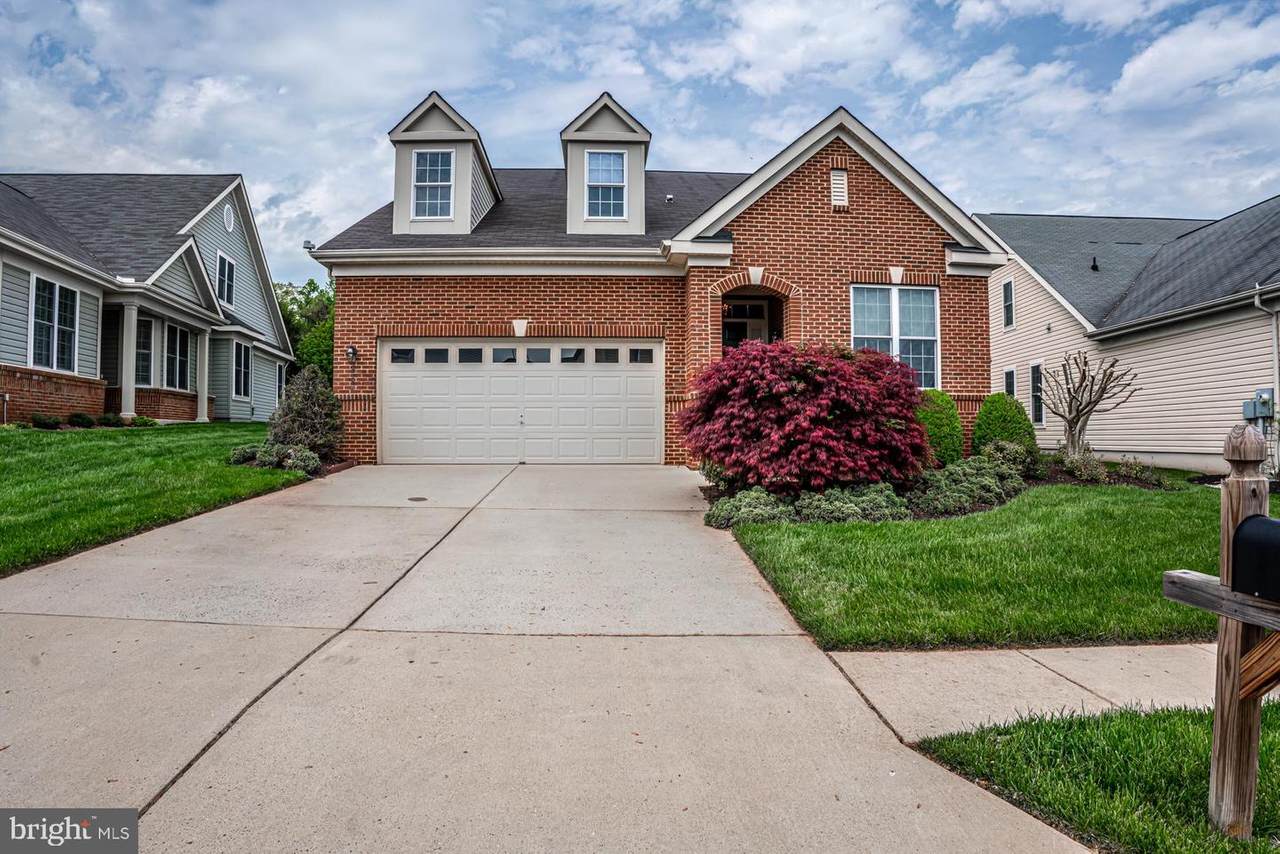 13134 Triple Crown Loop - Photo 1