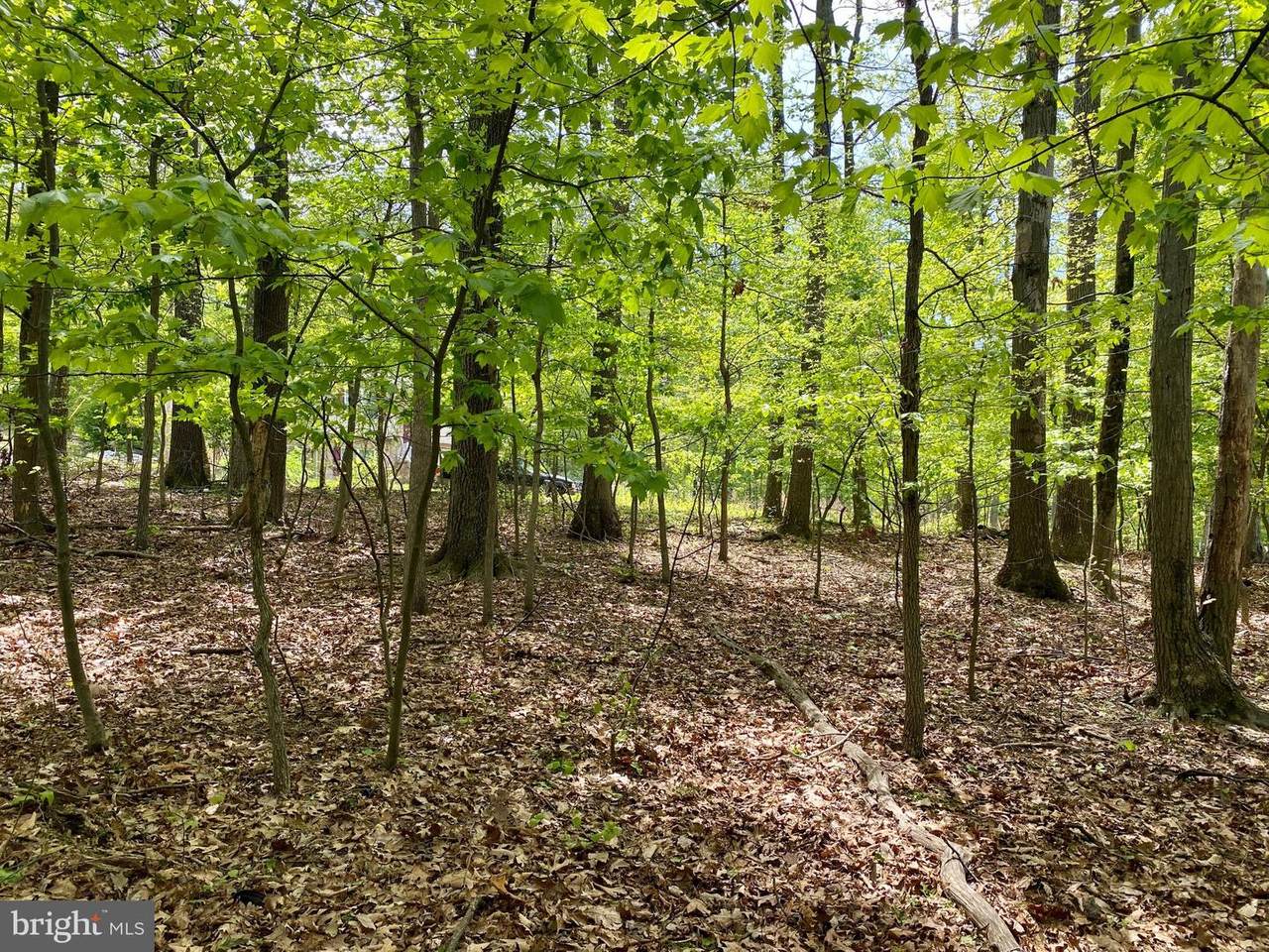 LOT 14 Sylvan Lane - Photo 1