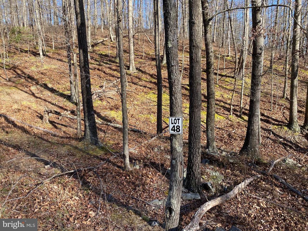 48 White Oak Pass - Photo 1