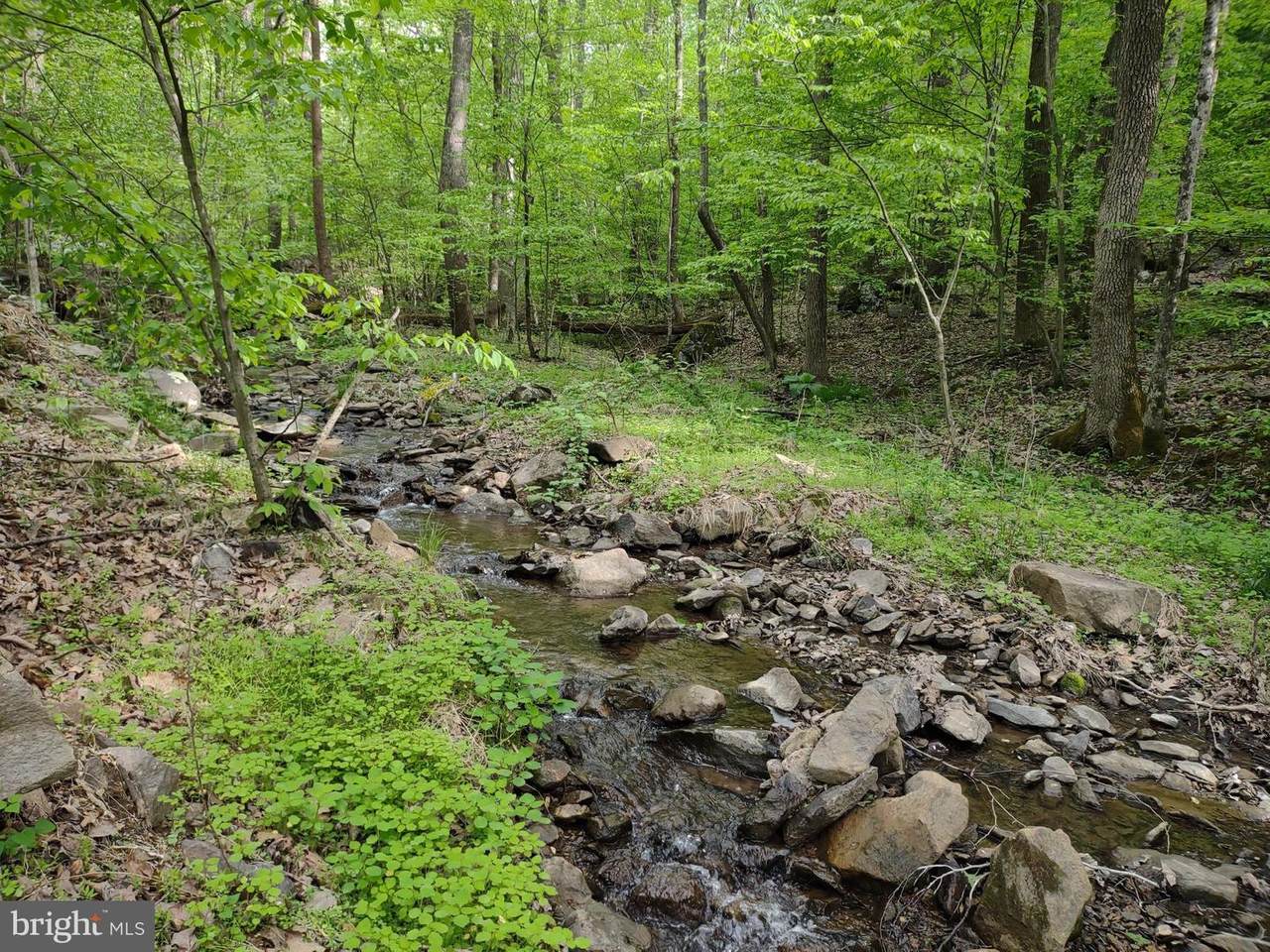 Lots 22 9A Oregon Hollow - Photo 1