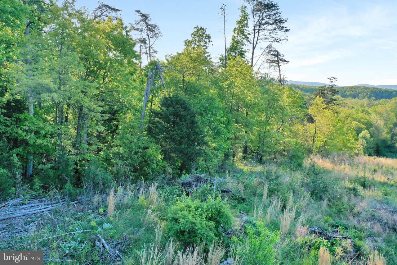 LOT 21 Creek Bend Court - Photo 1