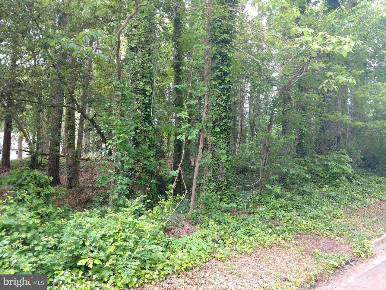 0 Schumaker Lane - Photo 1