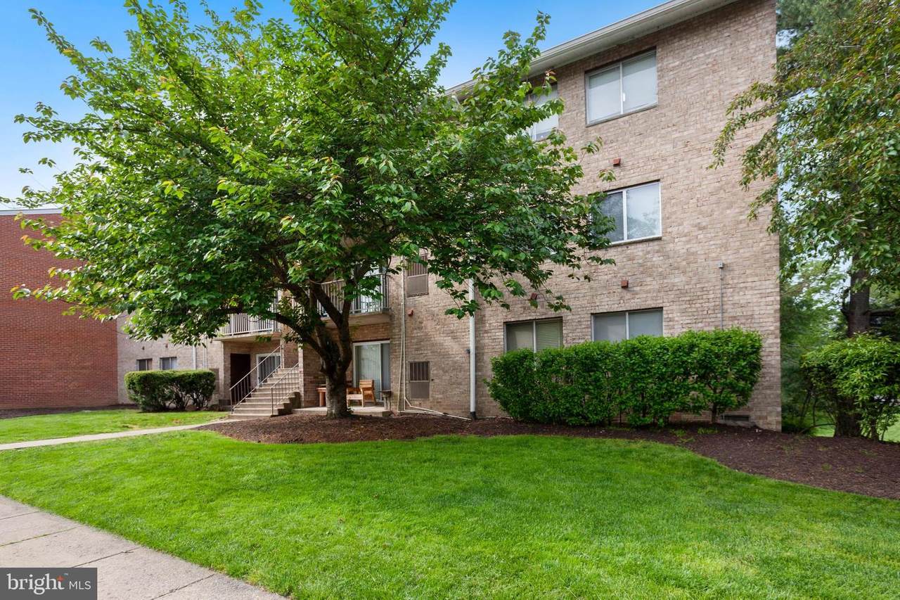 7997 Audubon Avenue - Photo 1