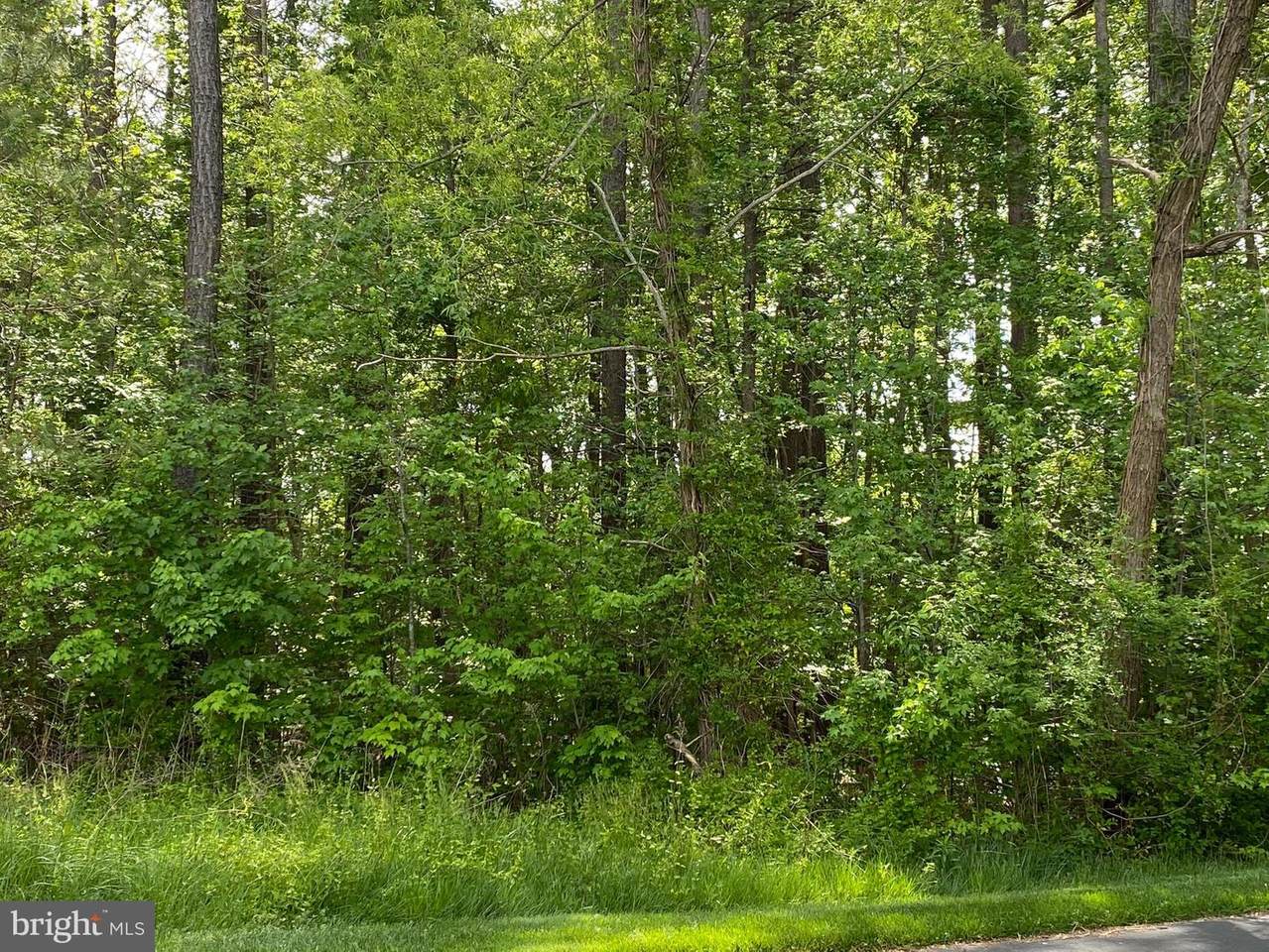 13 Boisenberry Lane - Photo 1