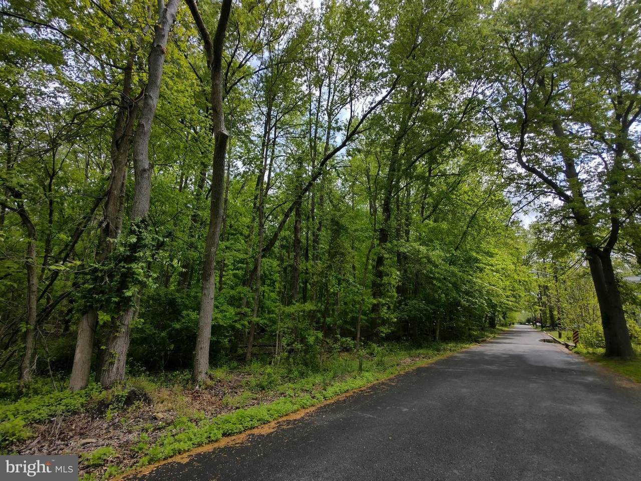 Lot 8 Alcazar Avenue - Photo 1