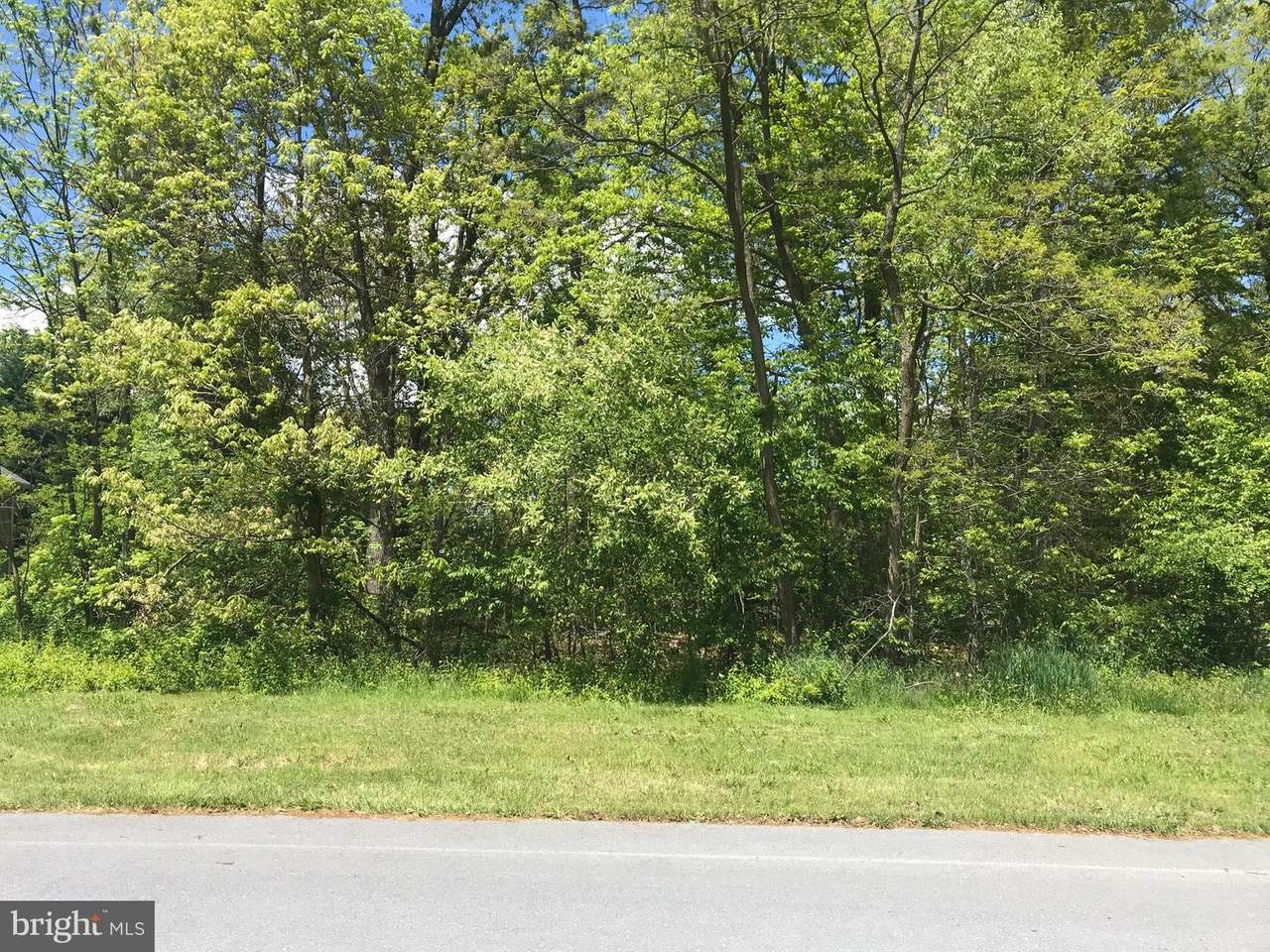 6528 Pullhook Lane - Photo 1