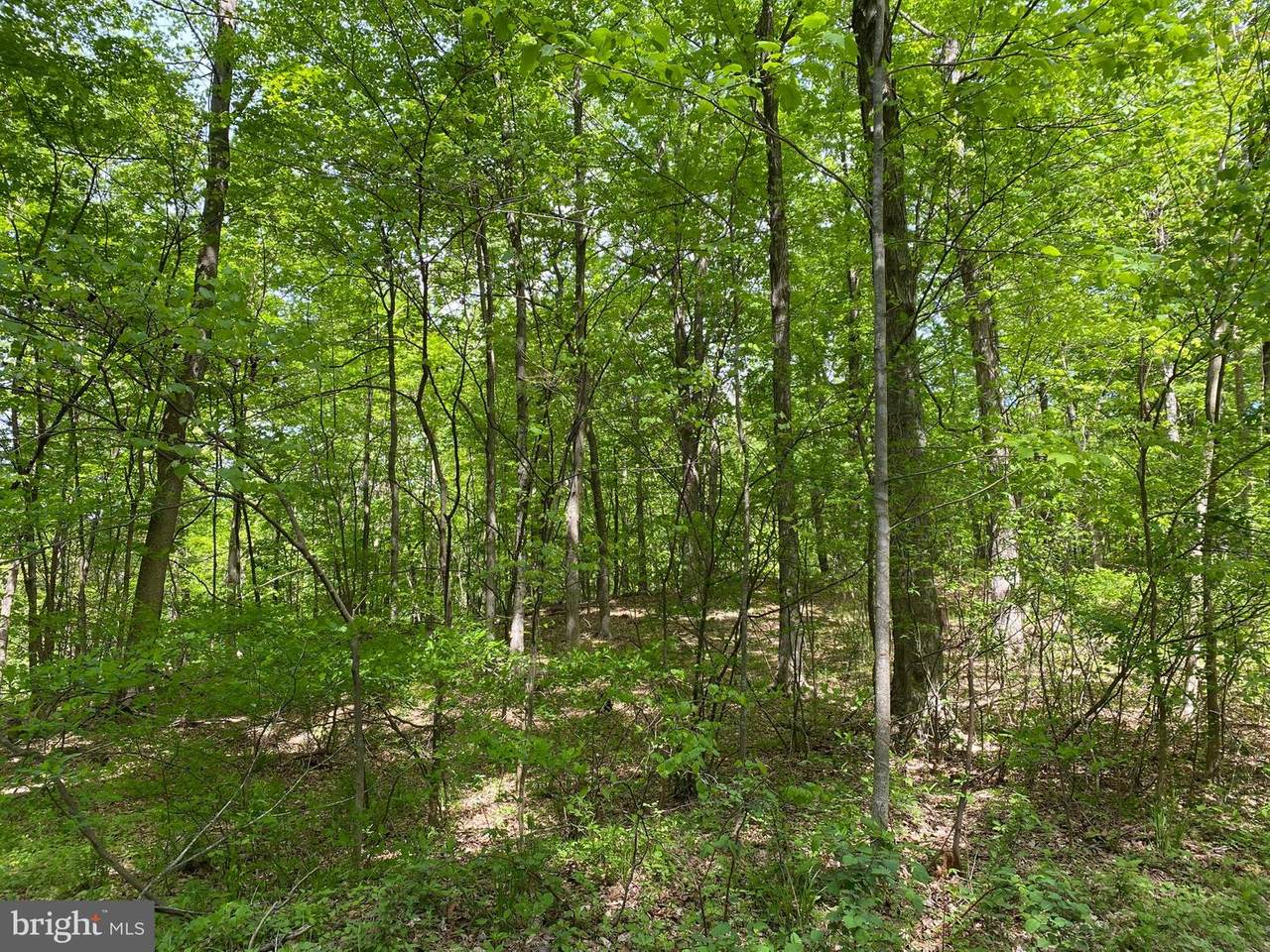 Cubby Hole Lane - Lot 25 - Photo 1
