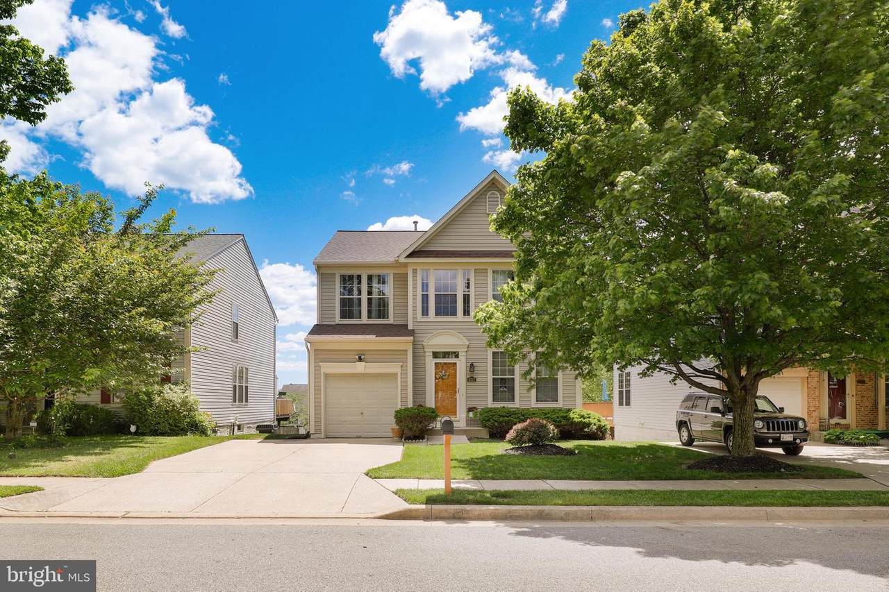 4727 Truffle Lane - Photo 1