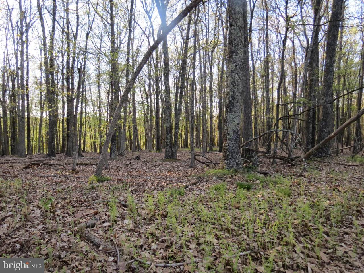 3 Deep Spring Road - Photo 1