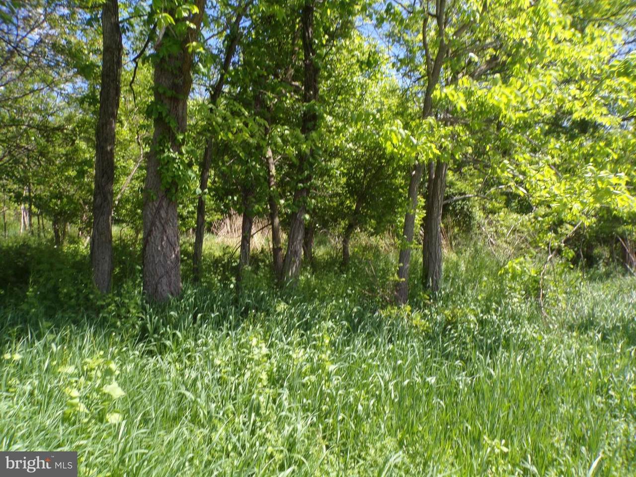 Fort Hill Road - Photo 1