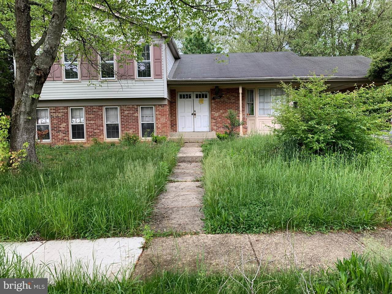9006 Rollingwood Drive - Photo 1