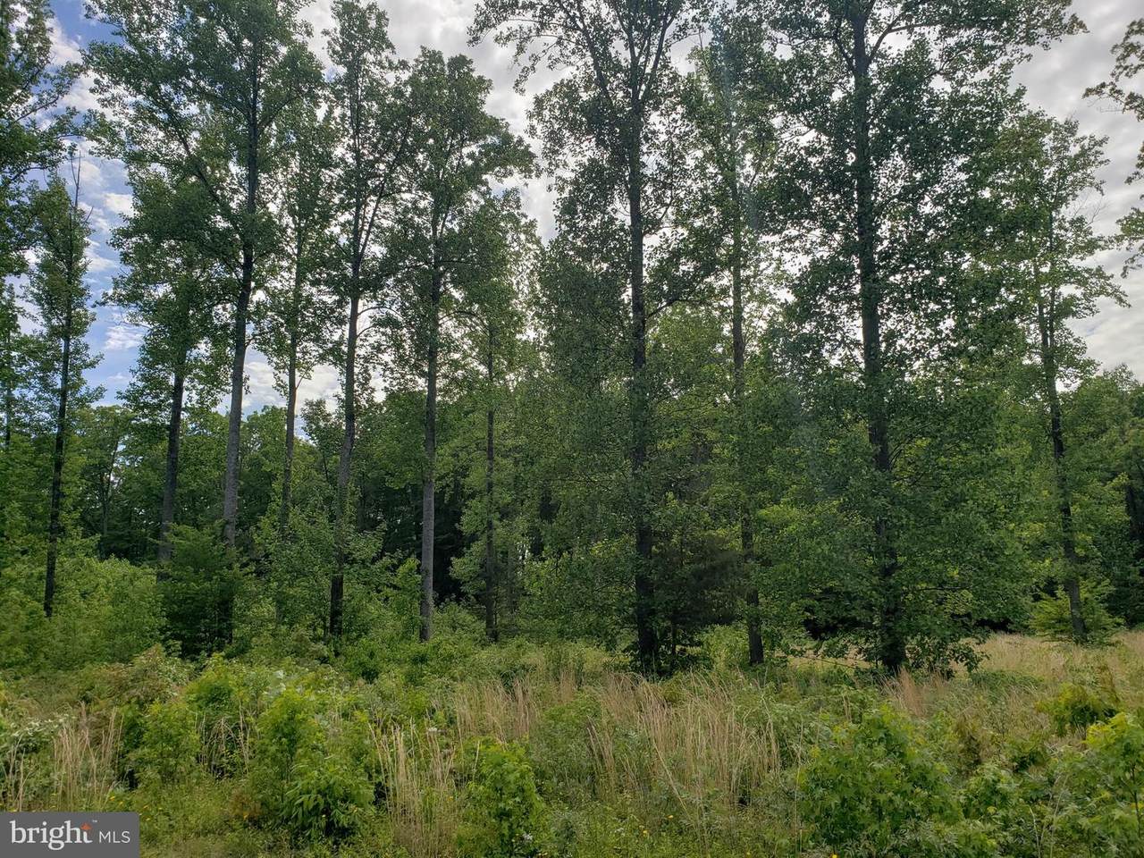 Lot 166 Rainbow Ridge - Photo 1