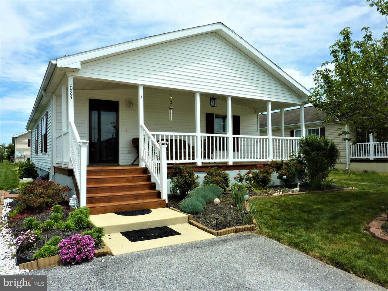 1024 Dante Road - Photo 1