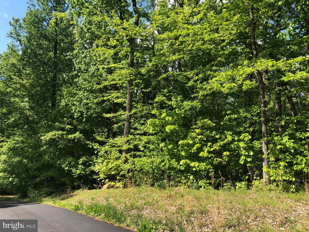 3532 Miller Road - Photo 1