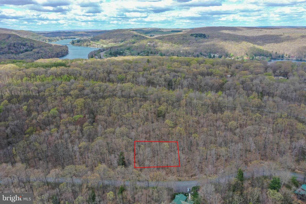 71 Tree Top Way - Photo 1