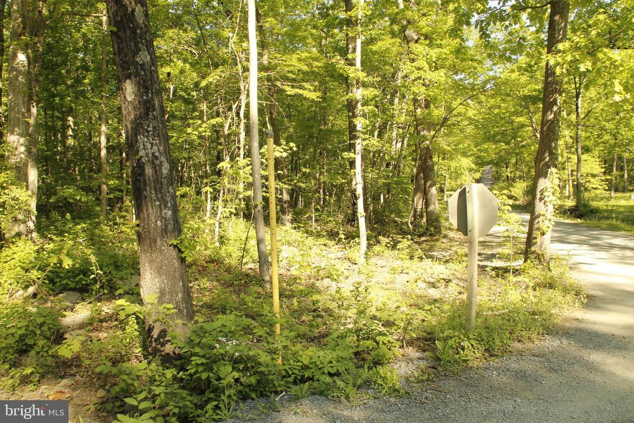 223 Fawn - Photo 1