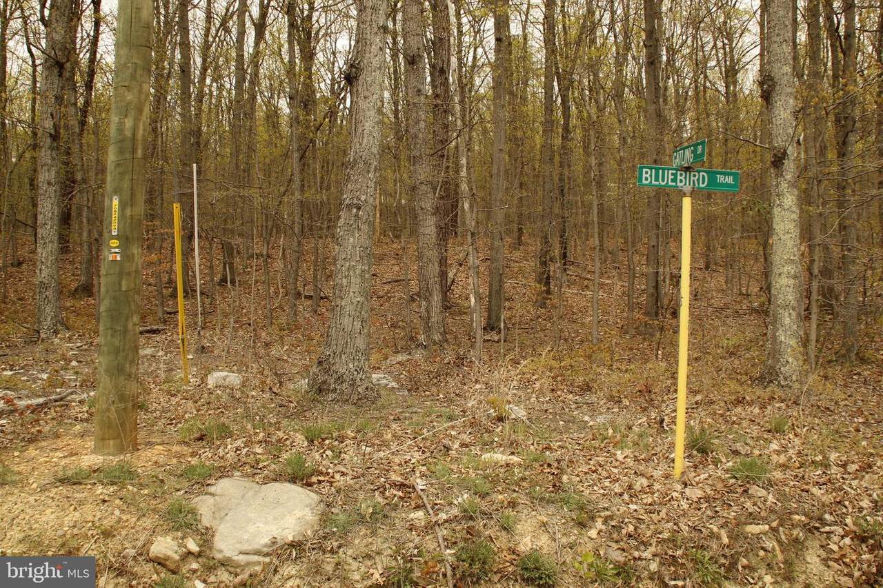 433 Bluebird Trail - Photo 1