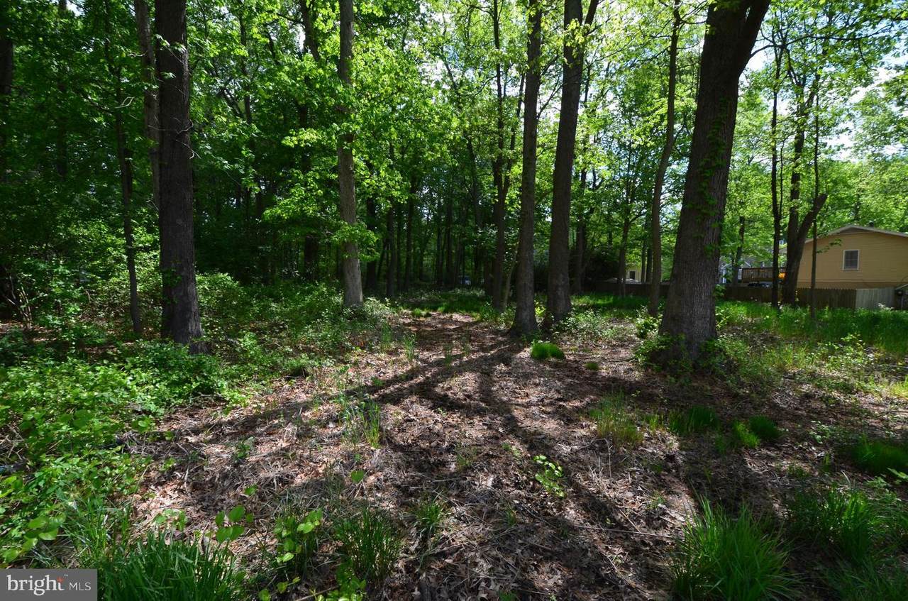 5611 Battee Drive - Photo 1