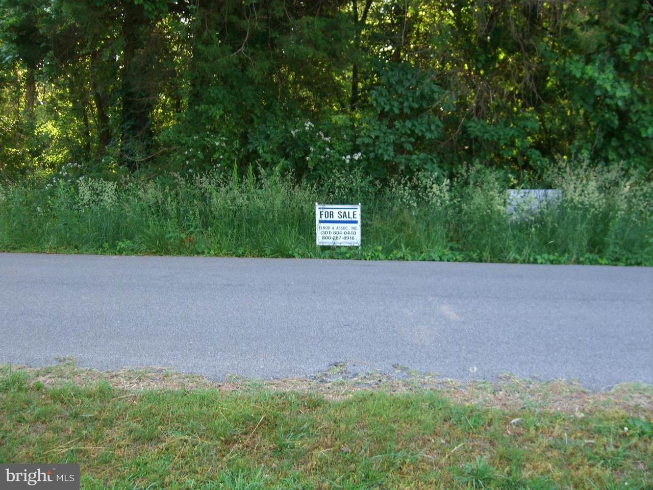 29776 Wilson Road - Photo 1