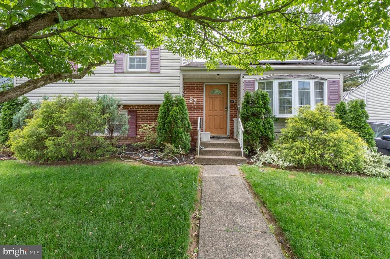 37 Dixmont Avenue - Photo 1