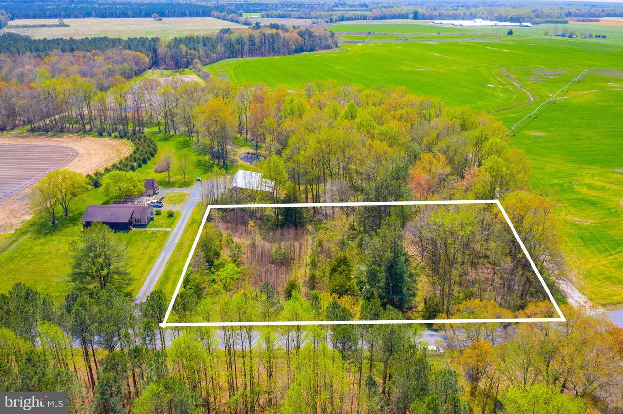 27515 Anthony Mill Road - Photo 1