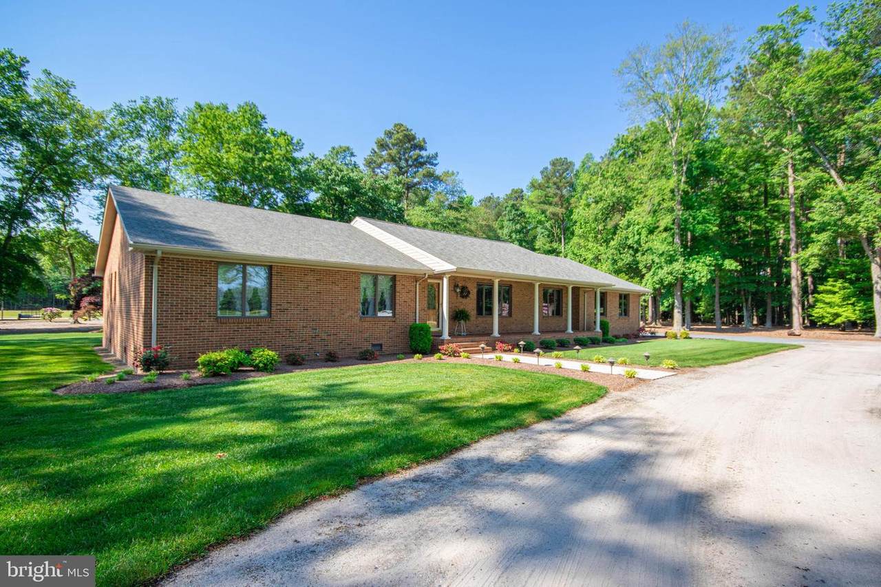 33915 Shockley Road - Photo 1