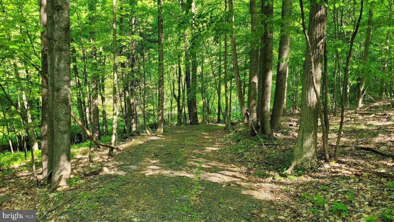 Grahams Woods Road - Photo 1