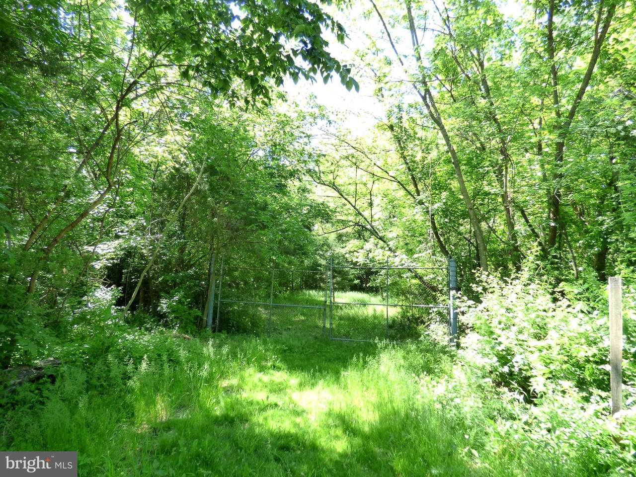 13 Vogue Road - Photo 1