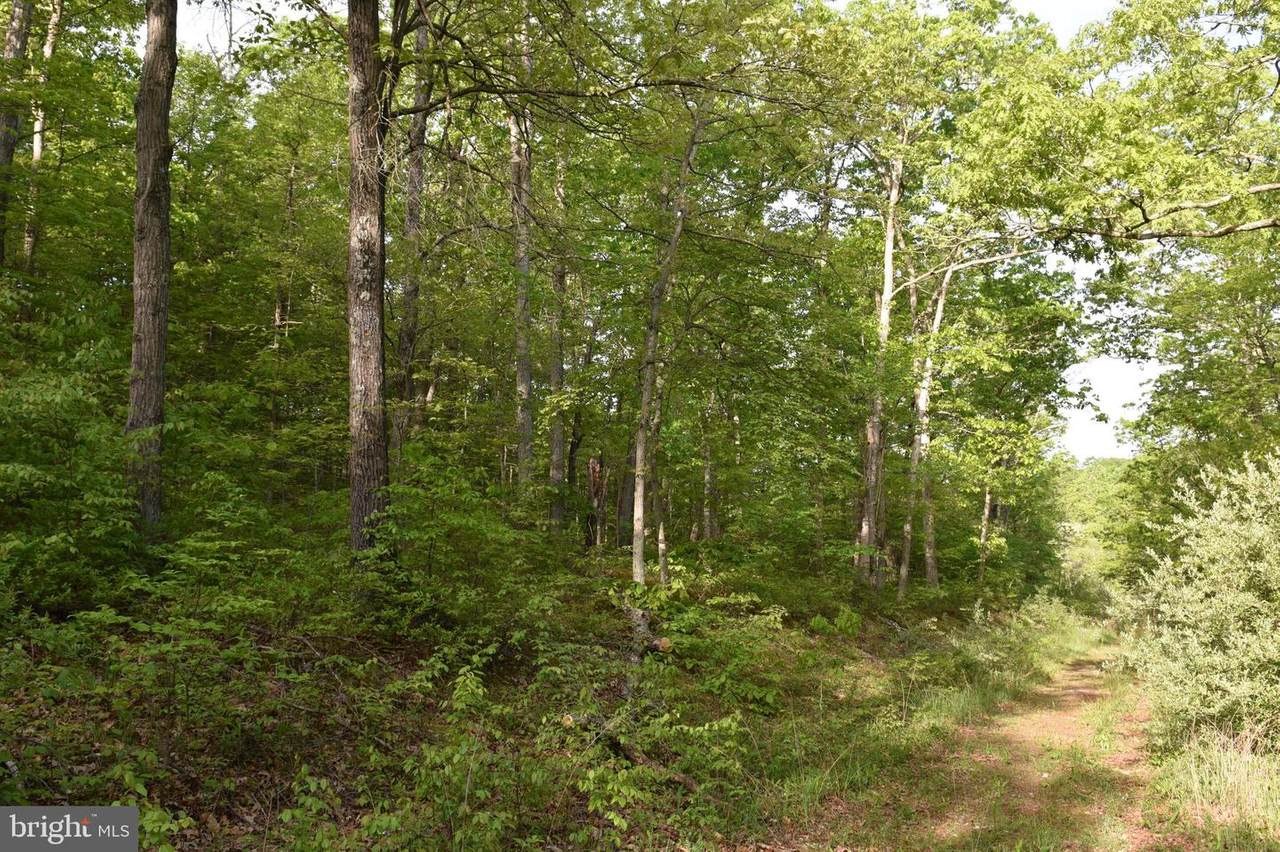 Lot 2 Fairview Road - Photo 1