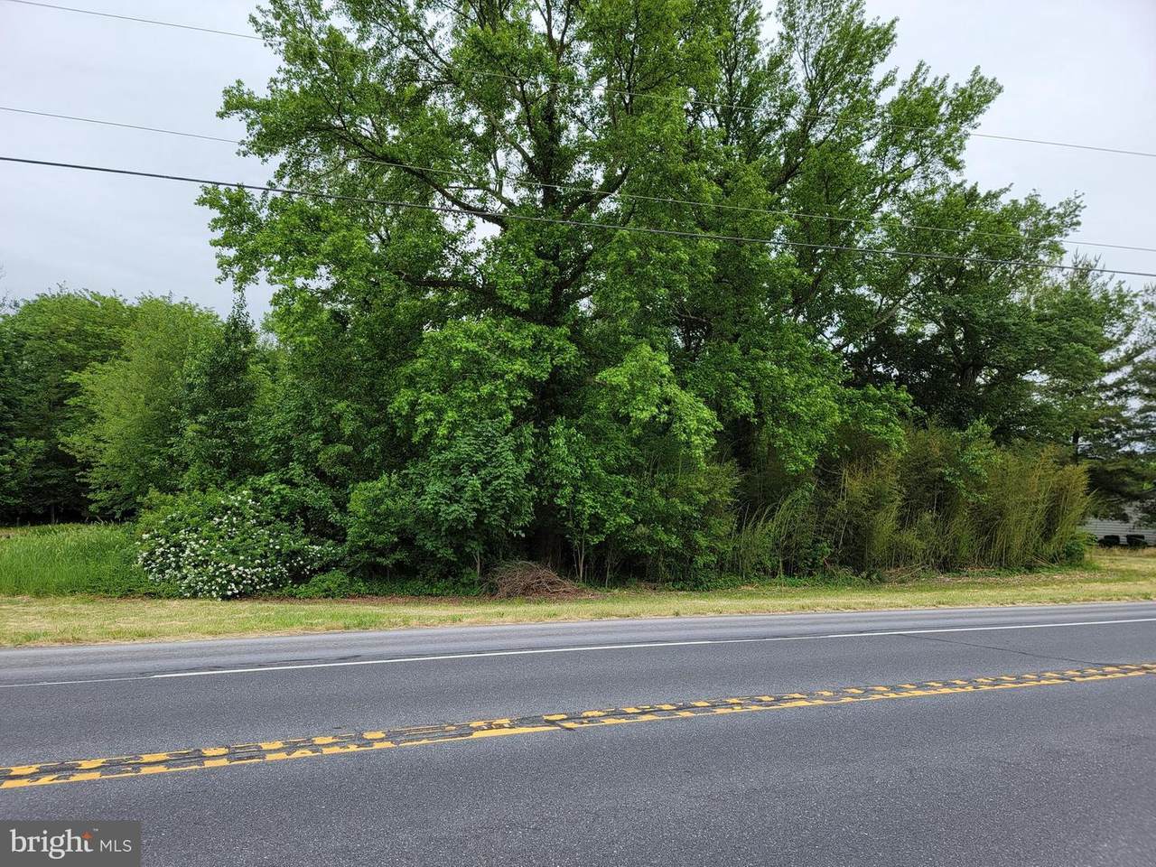 5120 Halltown Road - Photo 1