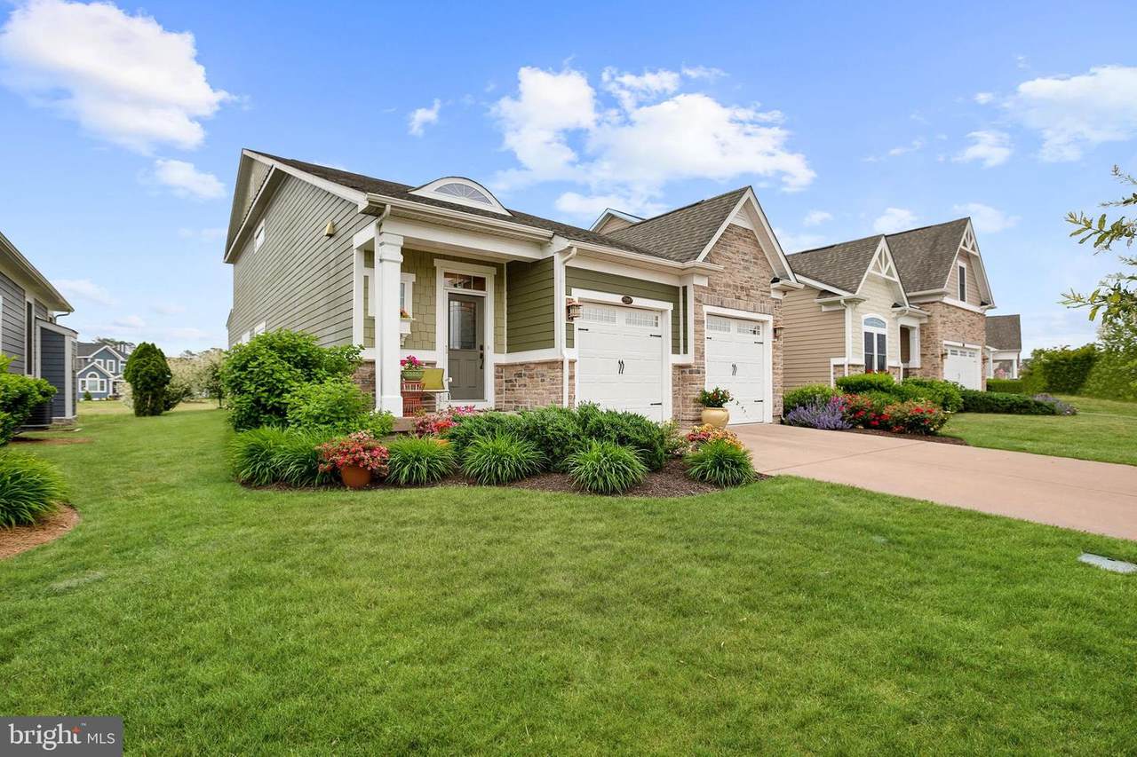 27043 Firefly Boulevard - Photo 1