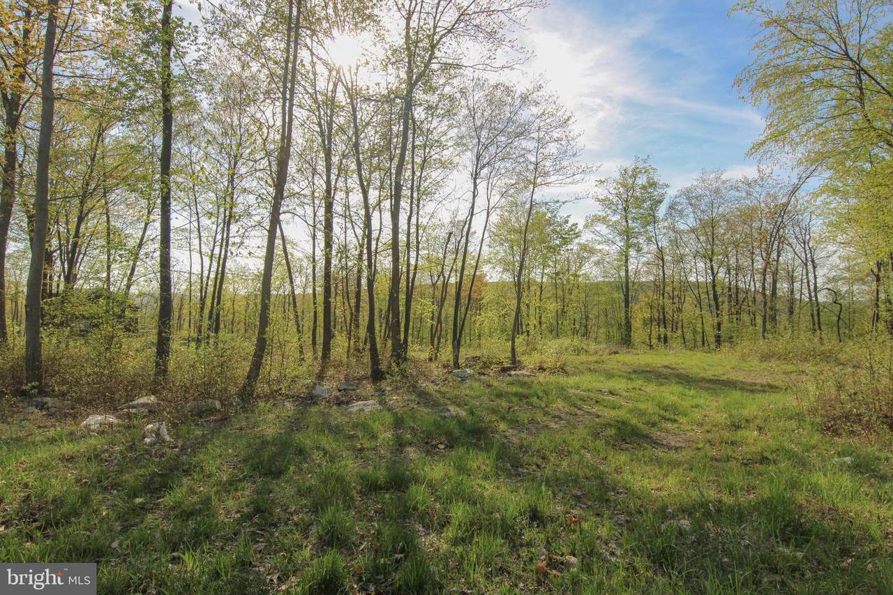 Lot 26 Rocky Gap Trl - Photo 1