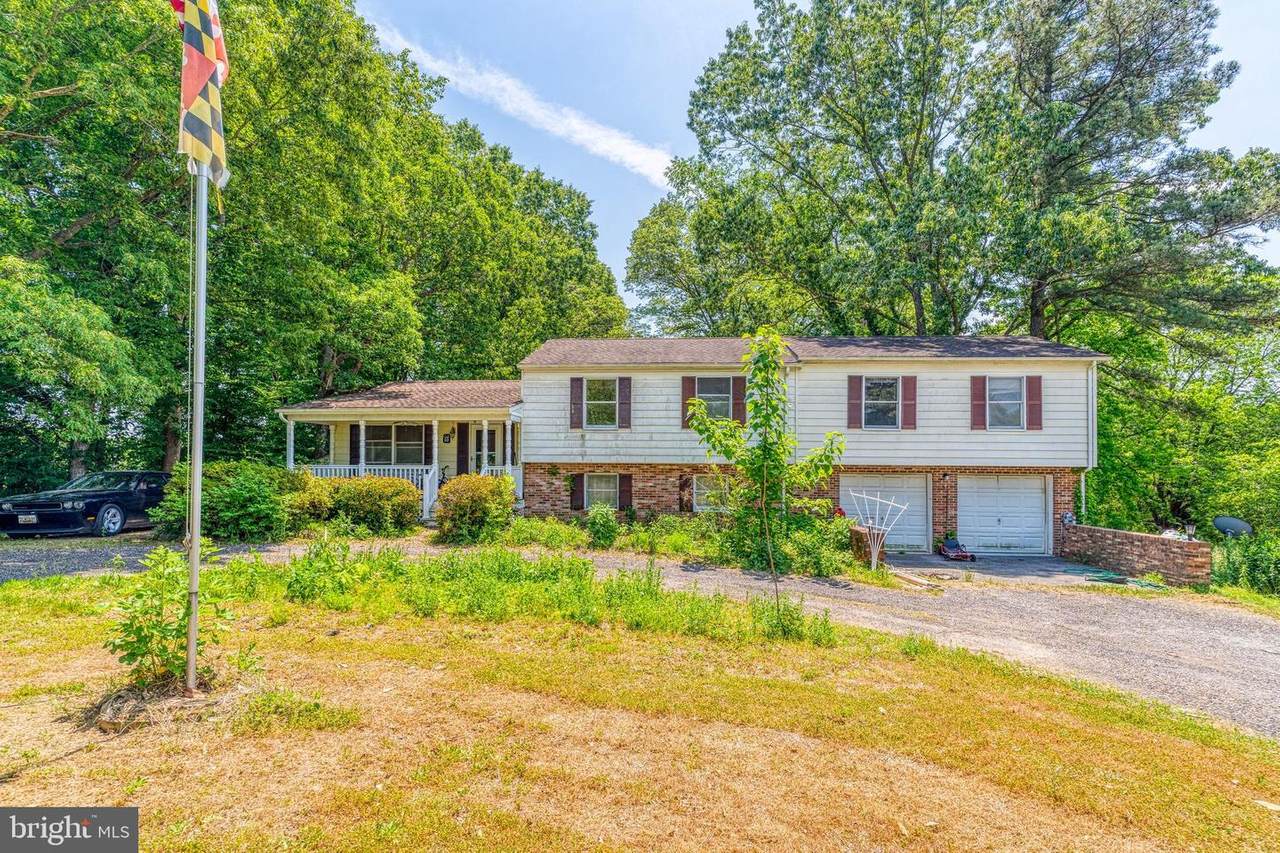 37601 Harrow Hills Court - Photo 1