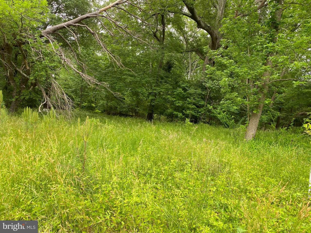8519 Tilghman Island Road - Photo 1
