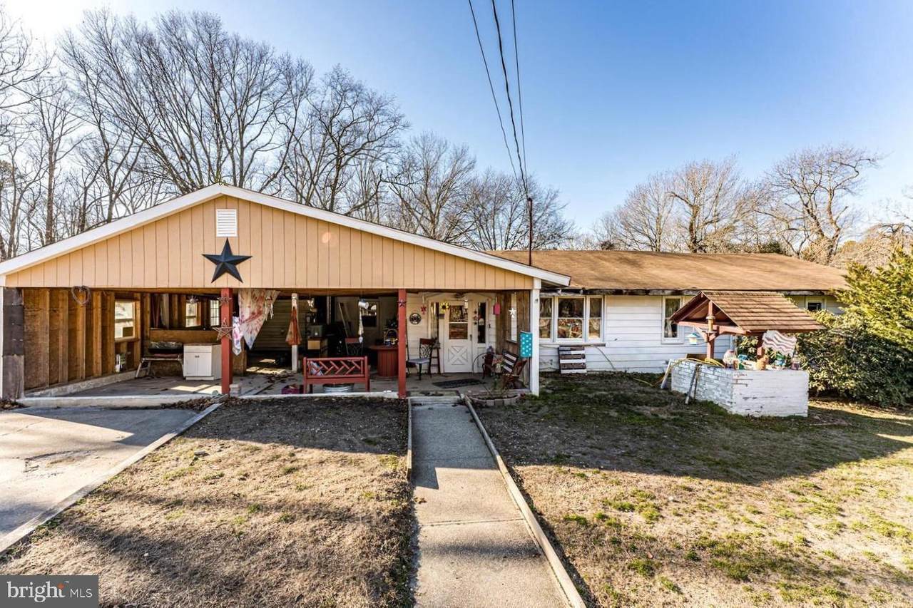 317 Olive Road - Photo 1