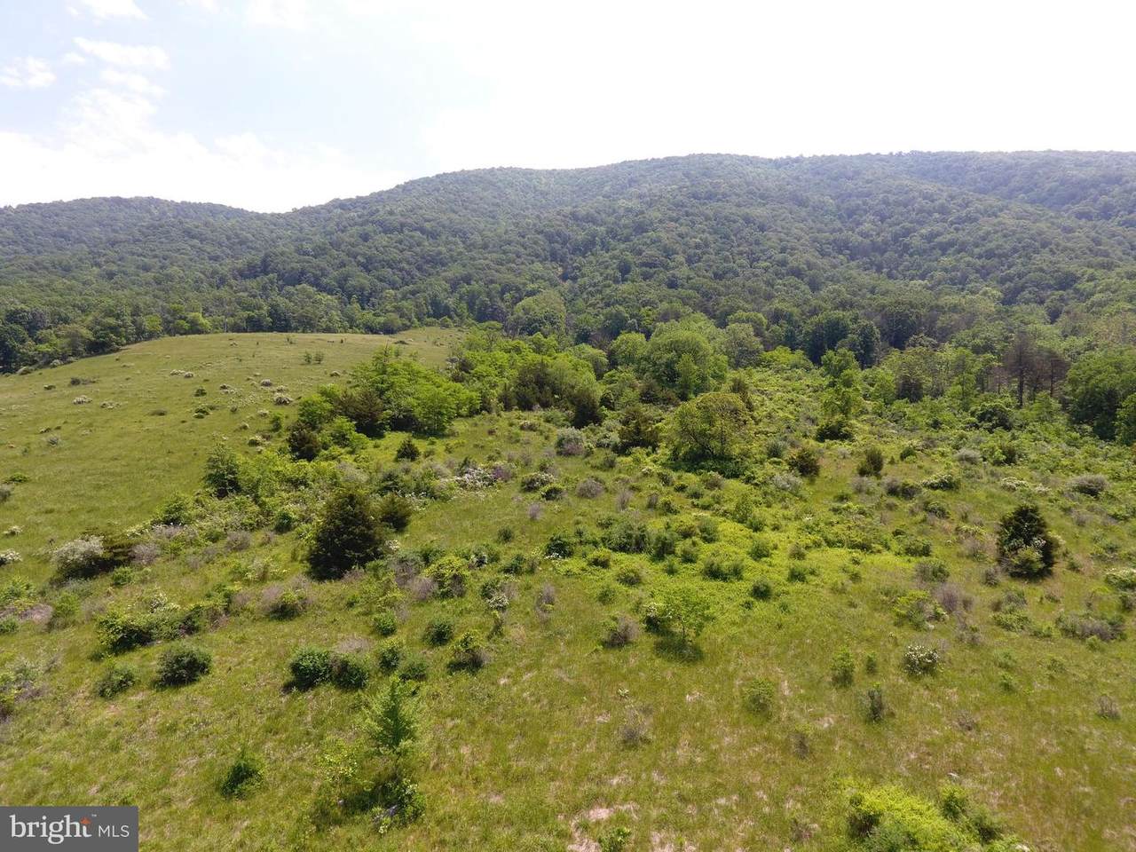 35.22 AC Off Us Hwy 220 S - Photo 1