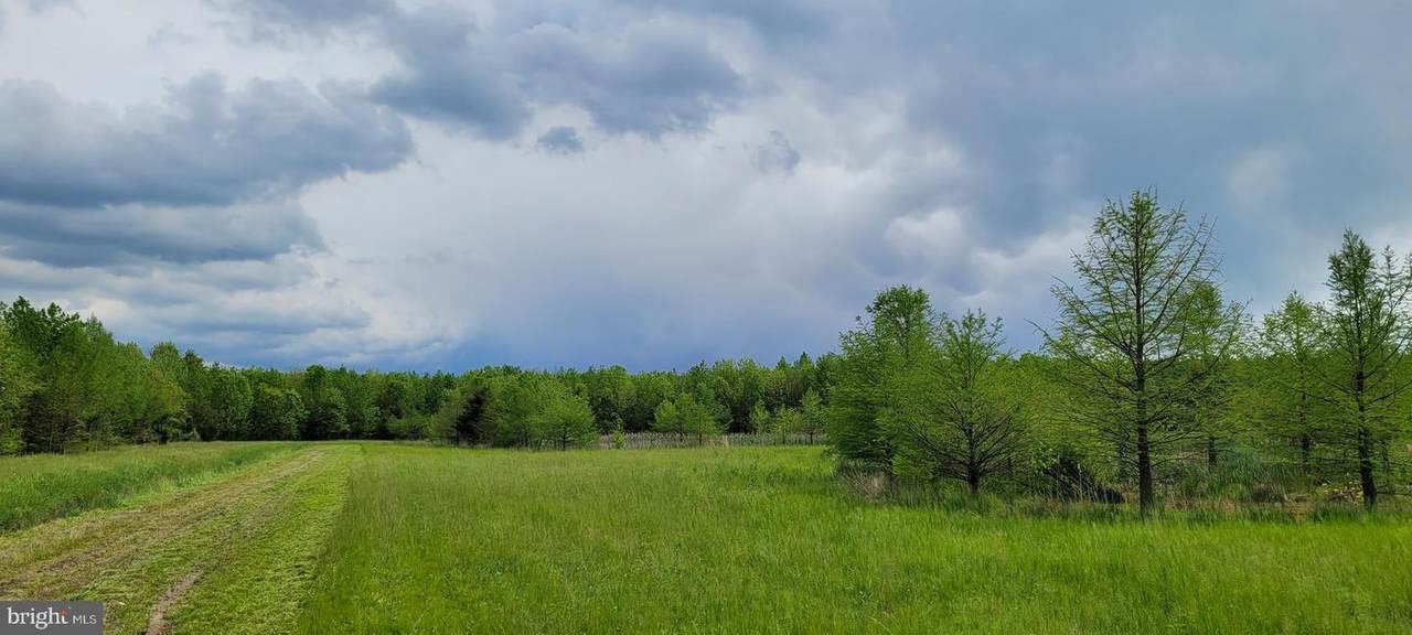 34.21 Acres Drapers Corner Road - Photo 1
