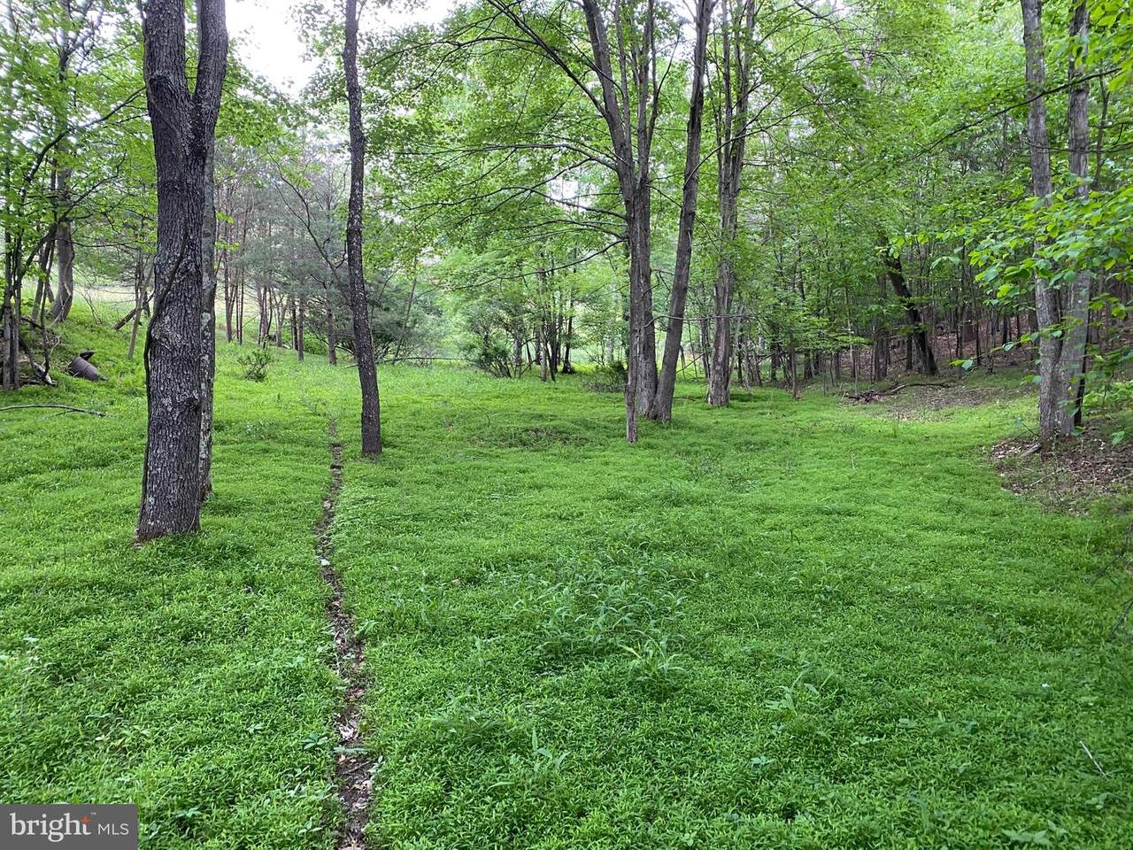 0 Whitetail Drive - Photo 1