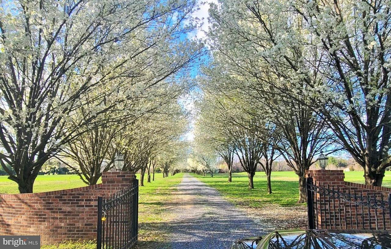 Bennett Point Road - Photo 1