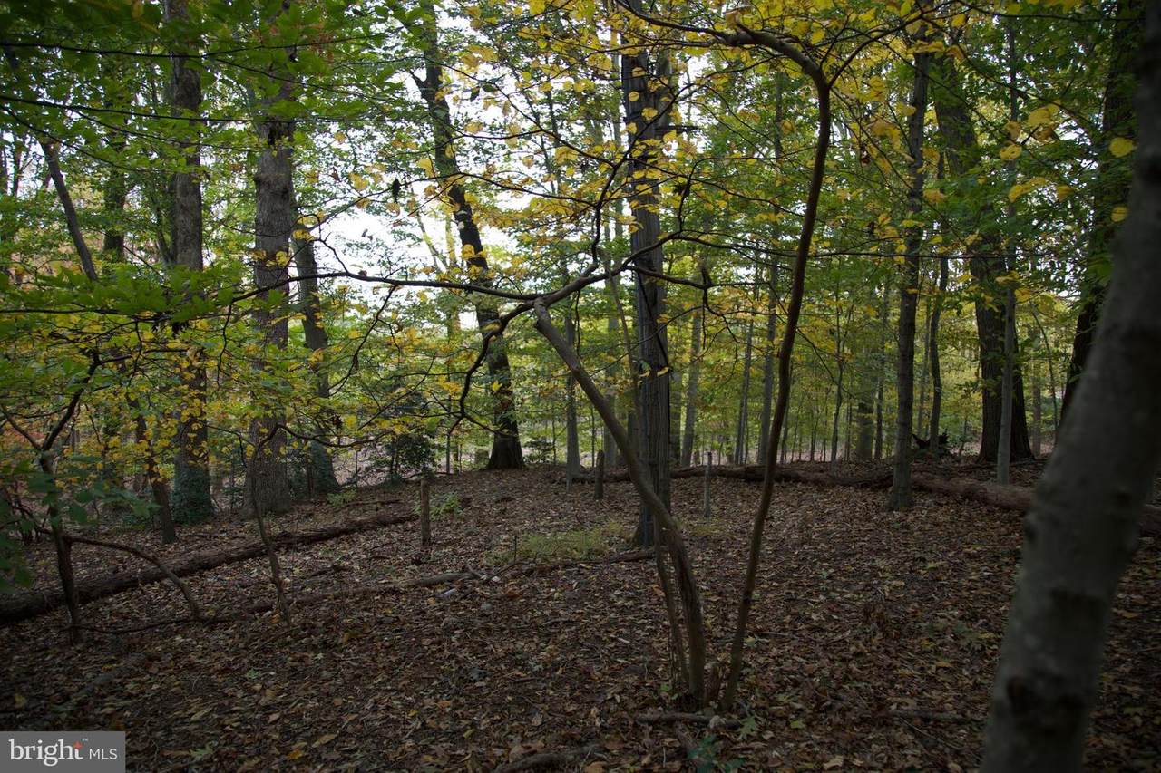 2701 Montchanin Road - Photo 1