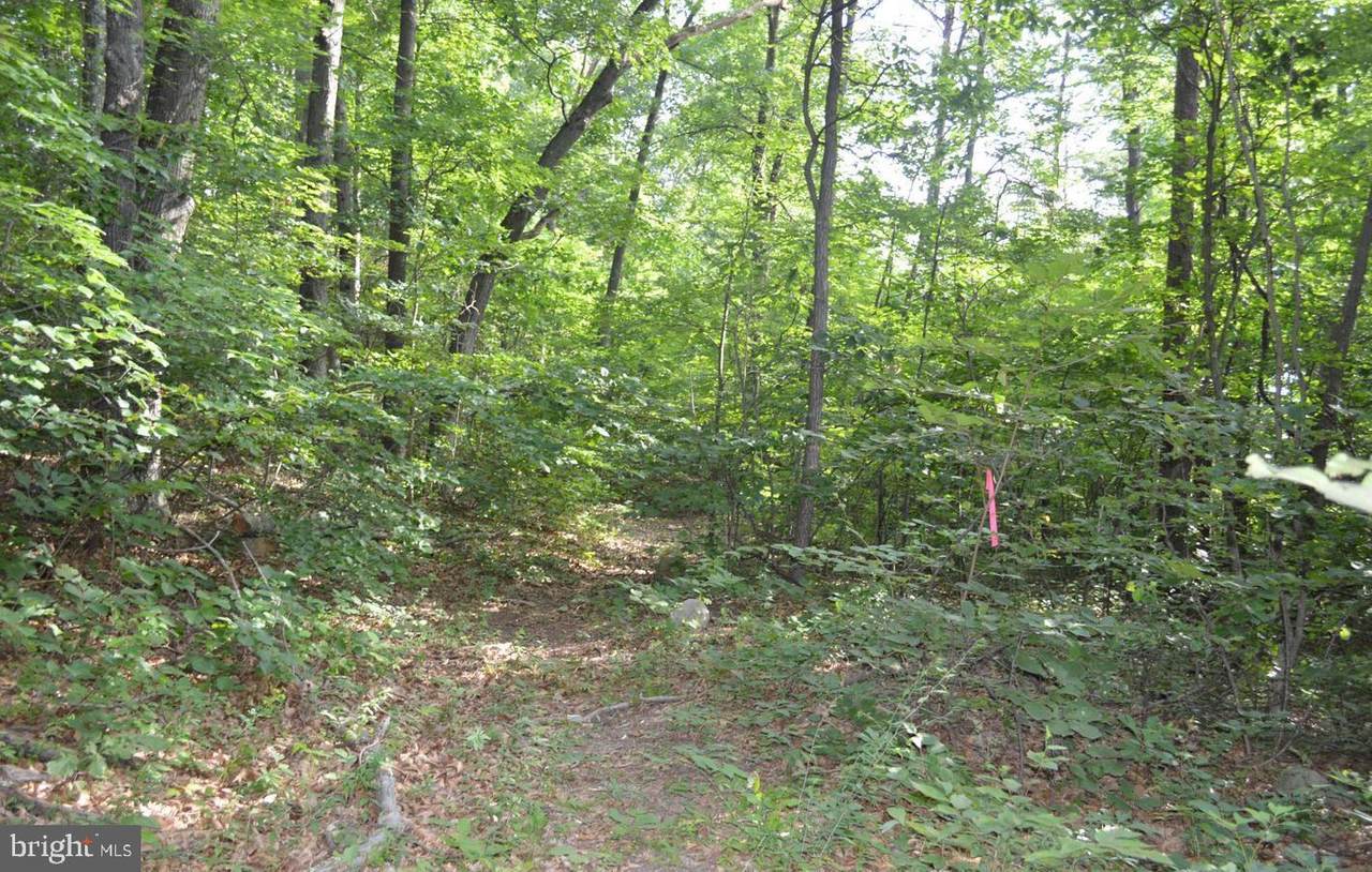 0 Sandy Hill Lane - Photo 1