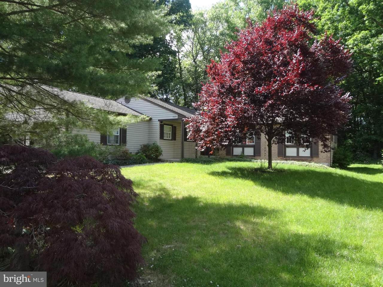 3028 Maple Shade Lane - Photo 1