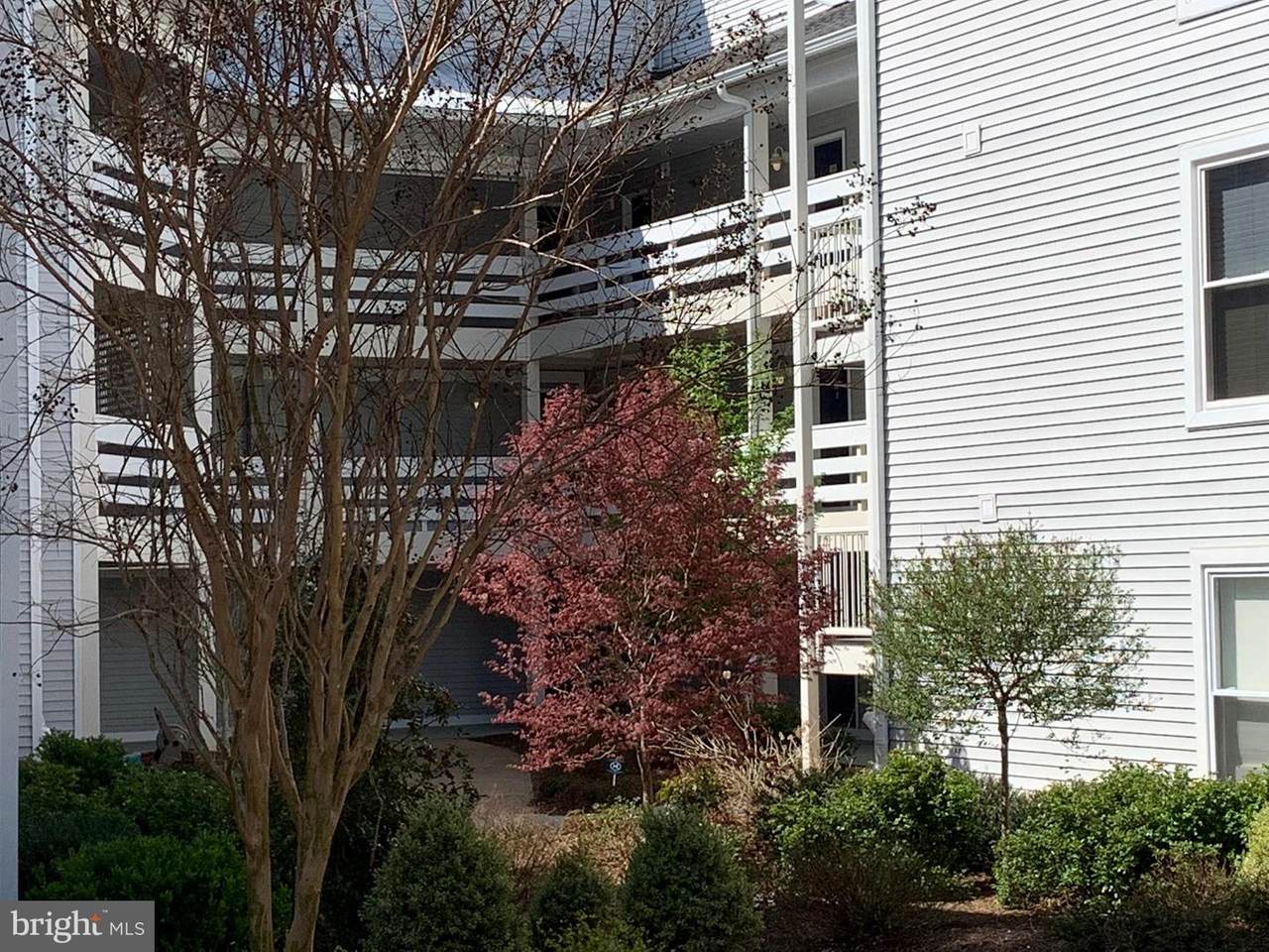 10303 Appalachian Circle - Photo 1