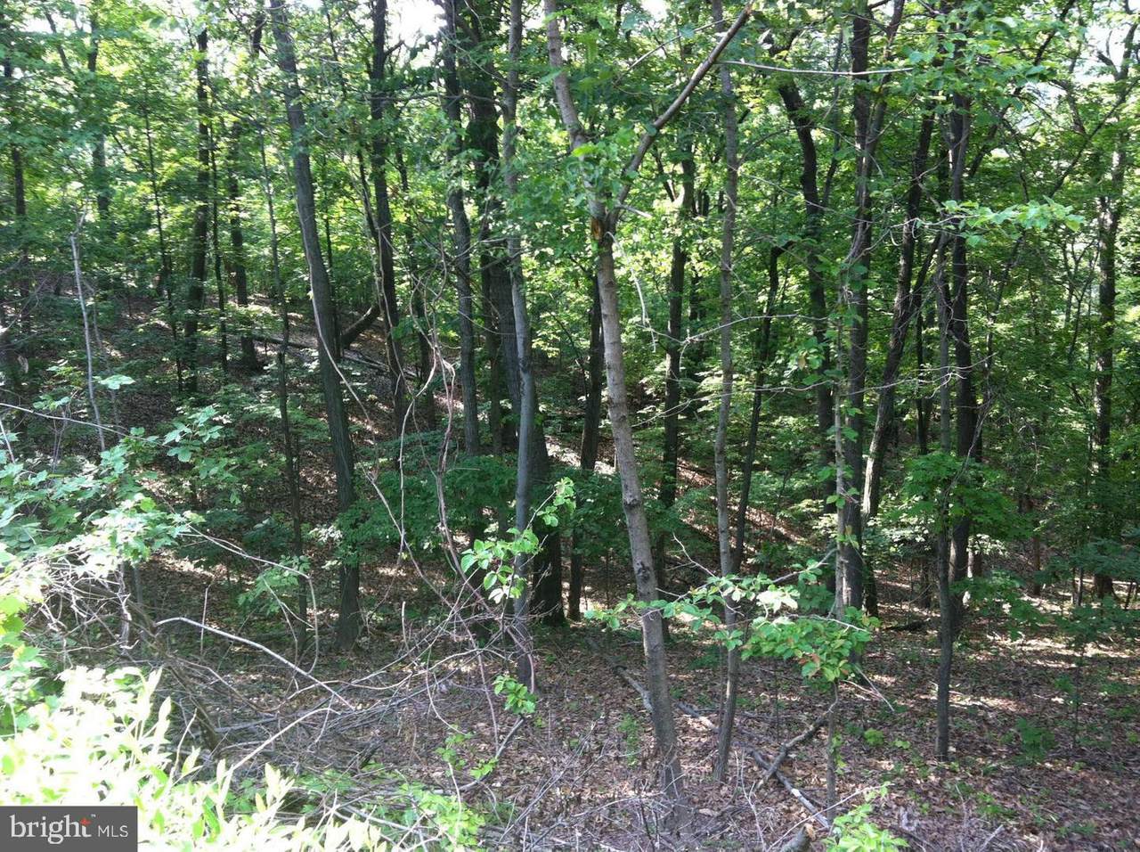 0 Pee Wee Lane - Photo 1